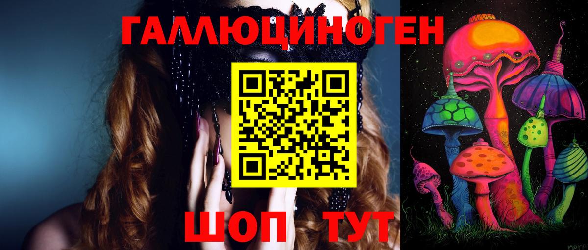 Канск  Псилоцибиновые грибы Cubensis  Вход с VPN 